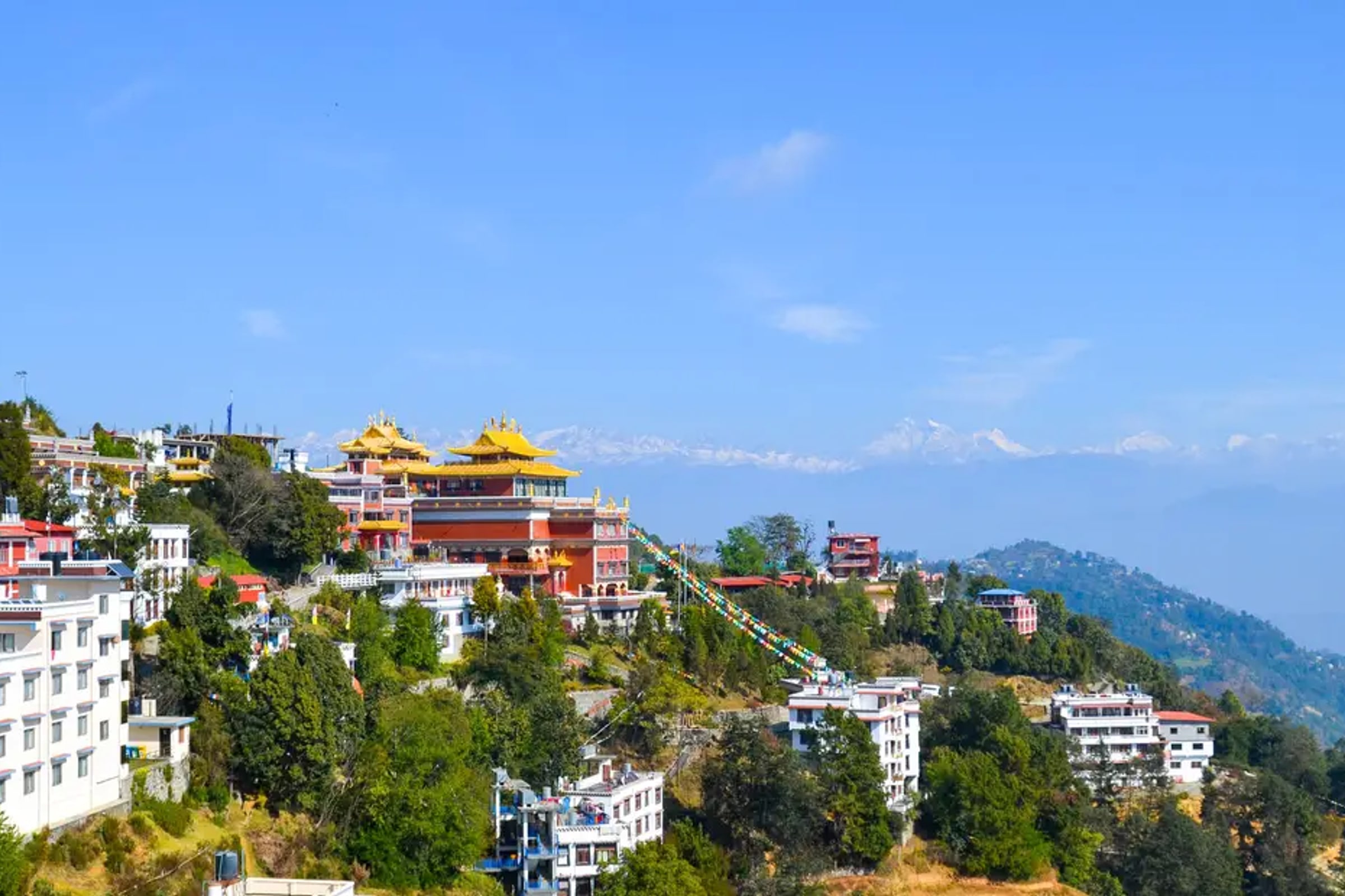 Namo Buddha and Thrangu Tashi Yangtse Monastery Half-Day Tour